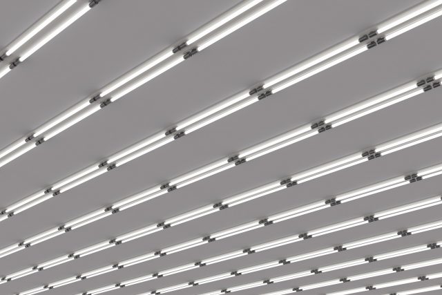 Fluorescent lamp