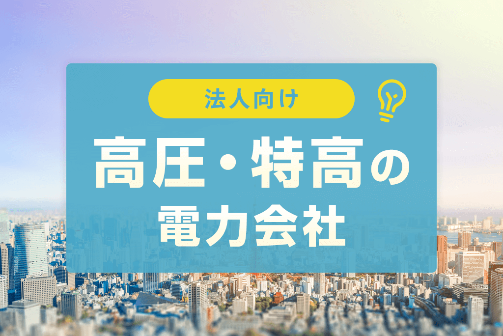 電力会社法人向け