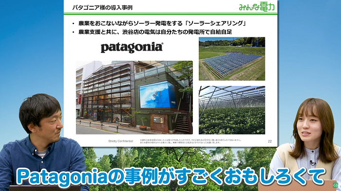 Patagoniaの事例